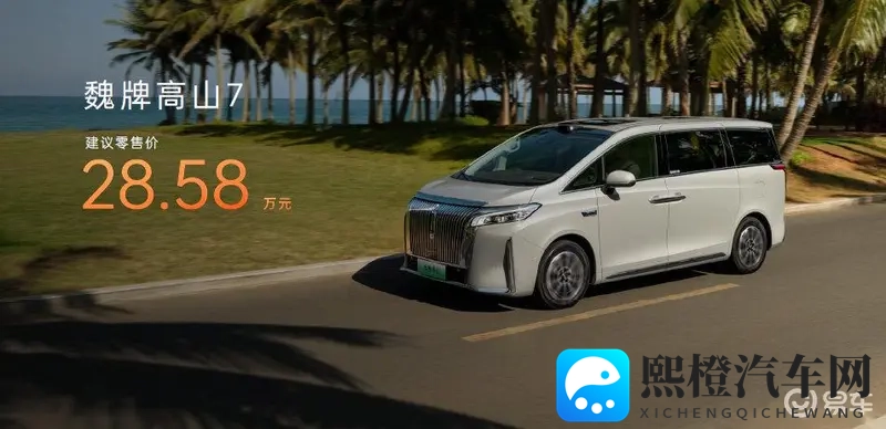 好,色.先.生·丅∨：新能源汽车领航，智能科技盛宴来袭-2