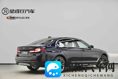 国产精品2020:2020年匠心独运国货之选-2