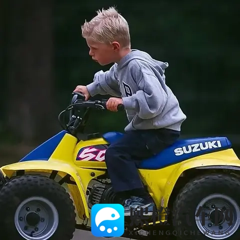 F1人物传:围场里最疯狂的人——马克斯·维斯塔潘-1