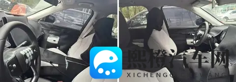 【新车前瞻】零跑D19—高端市场的破局者-2