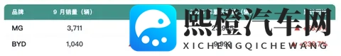 欧洲车市  法国2025年10月：汽车市场回暖 ，比亚迪和名爵销量暴涨-2