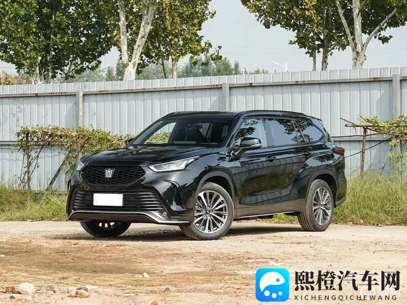 草莓丝瓜芭乐绿巨人樱桃秋葵粉色:五彩缤纷蔬果组合:绿巨人、樱桃与粉色系列-1