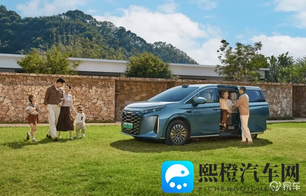 海角小马拉大车妈妈真实：海角母马负重艰辛，真情流露感人至深-1