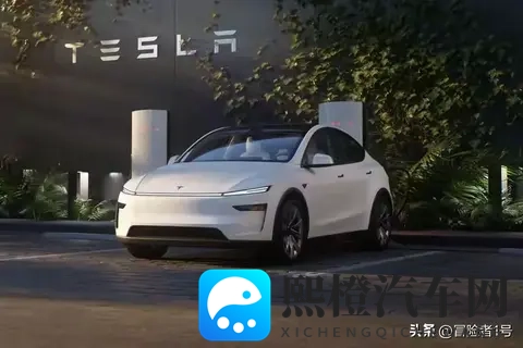 特斯拉Model Y_Y L终极选购！4版差异+避坑，看完不踩雷！-2