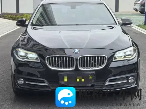 18禁网站入口：智能汽车崛起，绿色出行新篇章-3