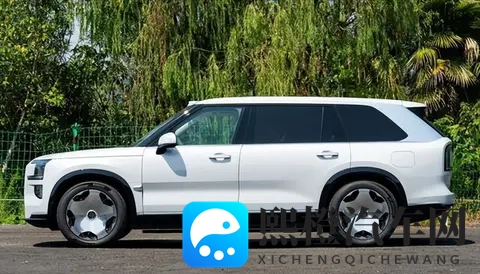 自主品牌扎堆推大型 SUV：不只是跟风，背后藏着这些门道-2