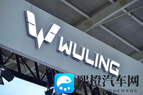 18岁以下不能下载的软件：青少年驾车安全：家长必看安全软件推荐-3