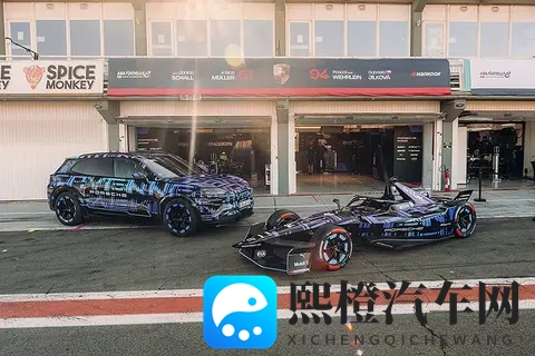 lls.888:新能源汽车黑马亮相,科技与运动完美融合-2