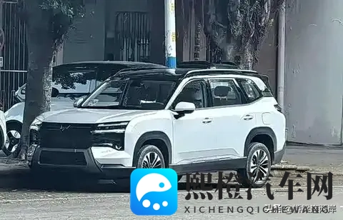 五菱新车8万起？硬派设计挑战混动市场-3