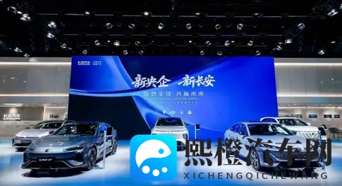 10月车企销量榜:国内车企格局即将生变!吉利或反超-1