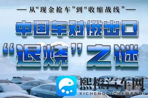 单车利润从10万到“白菜价”,中国车商在俄罗斯经历了什么?-2