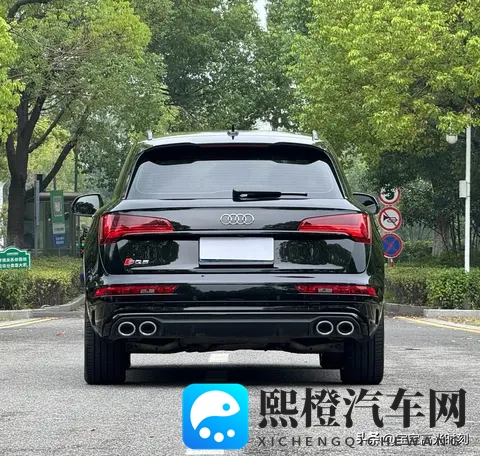 奥迪SQ5四十几万落地却乏人问津 燃油情怀撞上新能源浪潮全记录-1