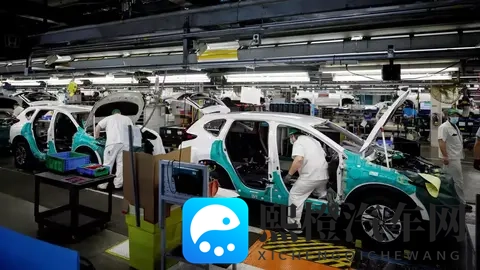 荷兰“认输”归还安世还不够,必须严惩荷兰安世高层-3