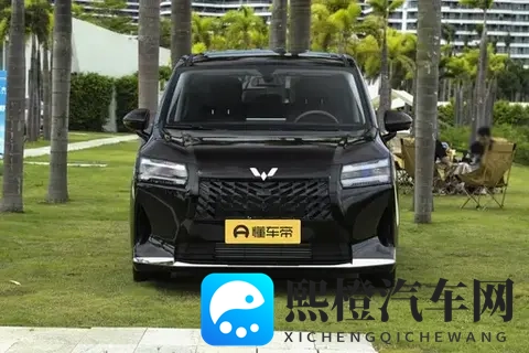 7万多拿下真7座!星光730满足全家出行,第三排不挤不晕-3