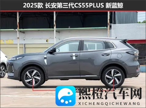 男人露jiji秘 免费网站推特：揭秘男性私密视频，免费观看平台大搜罗-2