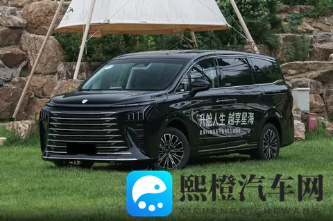 星空传媒孟孟过年相亲 2023:星空总裁孟孟2023春日寻缘记-2