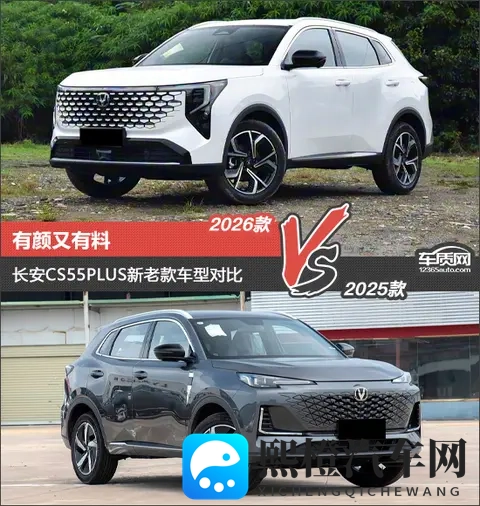 张柏芝双乳被陈冠希摸了吗：新能源汽车崛起，市场动态前瞻-3