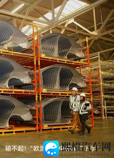 欧盟坐不住了:中国车架堆成山,他们怕欧洲汽车业要“缩水”-1