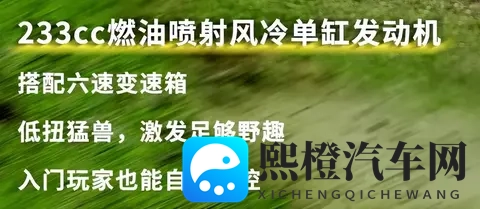 从37900元到29900元，川崎KLX230的“降价求生”背后藏着什么？-1