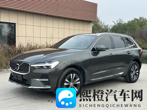 妮露开襟开叉裙鞋子选择:时尚穿搭,汽车选择:如何找到你的完美座驾?-3