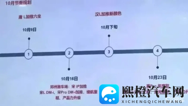 国产91探花沈先生极品:国产新星沈探花,品质非凡令人折服-2