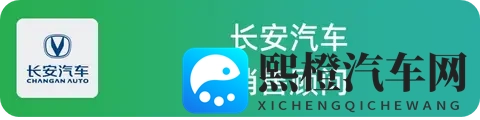 国产燃油车卖得怎么样?5位销售一起聊聊实际情况-2