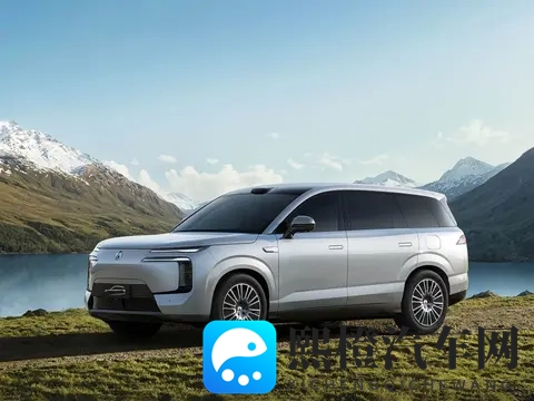 销量第一被“绝杀”!终于疲态显现,比亚迪快装不下去了?-3