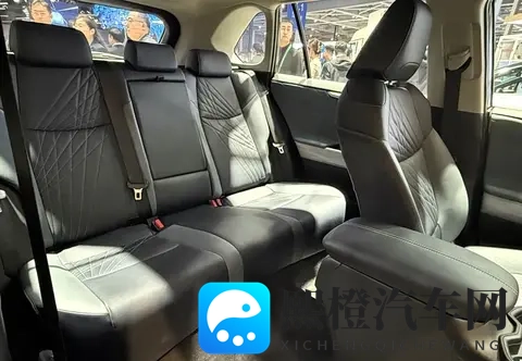 搭载20升自然吸气动力系统,丰田RAV4荣放福祉试制车正式亮相-3