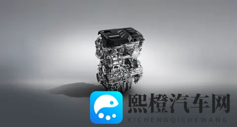 10万的价格区间里能找到这么一款七座车也是不容易的-1