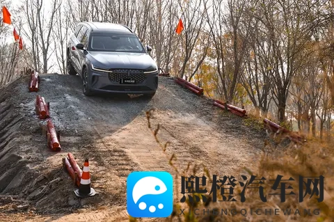 暗网爆料：汽车行业黑幕：揭秘惊人真相，你敢看吗？-2