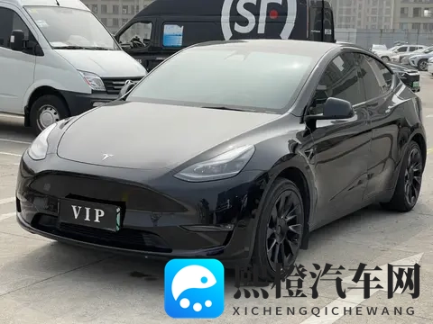 12万多圆梦特斯拉，21年Model Y后驱版，代步通勤优选-1