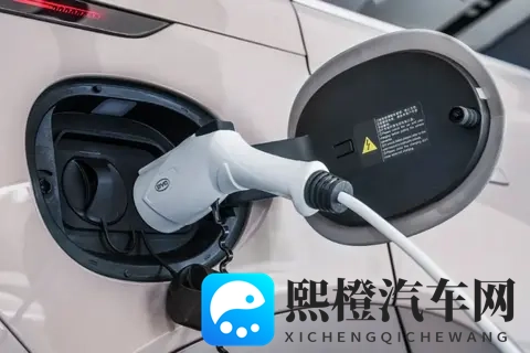 燃油车退场?别急,它只是在换个“活法”-2