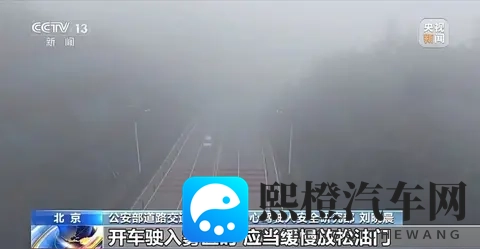 【秋冬事故预防⑥】大雾天气频发,驾车出行务必详阅这份秘籍!-2