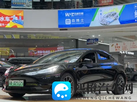 十年老车也疯狂？二手特斯拉Model3还能再战几年？-3