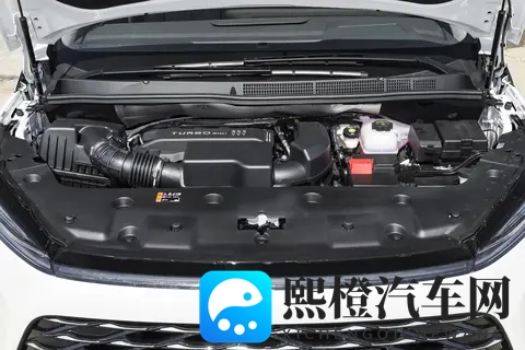 男生露jiji秘 免费网站:揭秘男生私密行为,免费资源网站分享-1