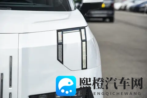 买MPV看准极氪009！旗舰权益+宜商宜家实力，精英家庭闭眼入-1