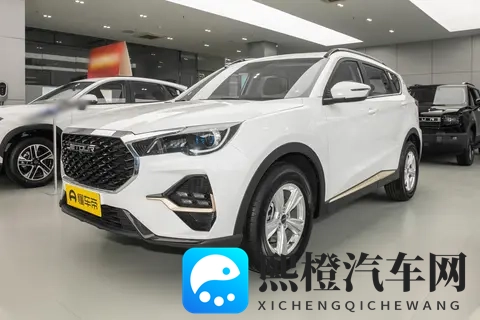 “云台底盘”+“电七座”,捷途X70L如何打动家庭用户的心?-2