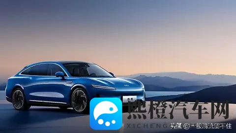 预算 10 万想捡漏?新能源 “烂尾车” 能不能买?-3