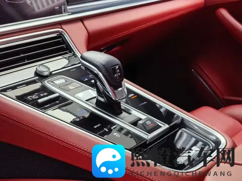 74万拿下保时捷Panamera，29T+8AT，体验速度与激情-3