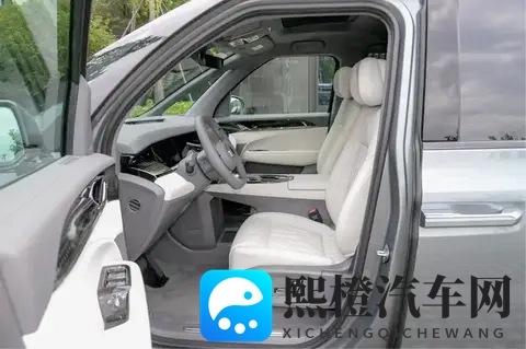 800V快充+双腔空悬+CCD減振,极氪009七座过道版可商可家超实用-2