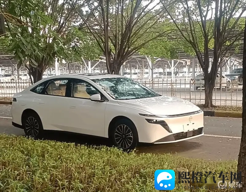 多毛多水:毛发丰盈,水分充足-1