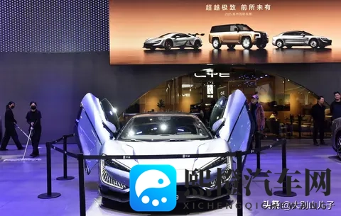 奴役 支配 性狂虐 极端针：极致驾驭：挑战极限，狂潮体验-1