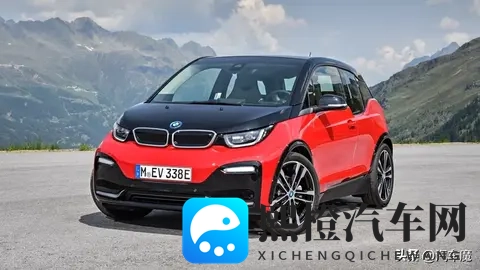 色哟哟：色彩斑斓，欢声笑语满载-3