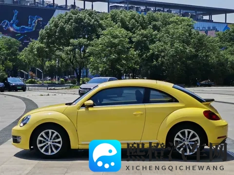 X姓女RAPPER的家乡特色:音乐达人座驾揭秘:家乡元素融入速度与激情-3