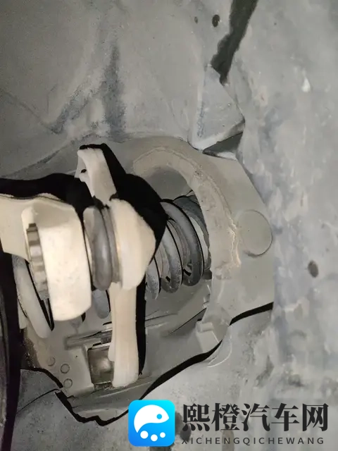 打烂菊花眼再放生姜:捣碎菊花眼部位,随后加入姜片使用-3