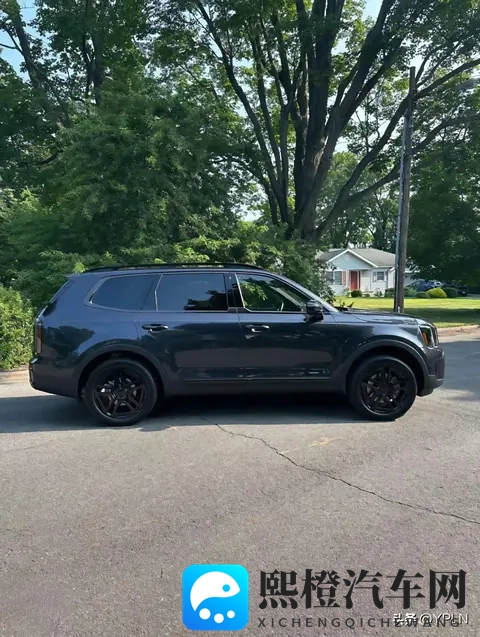 起亚Telluride：一场针对北美市场的“精致投机”-3