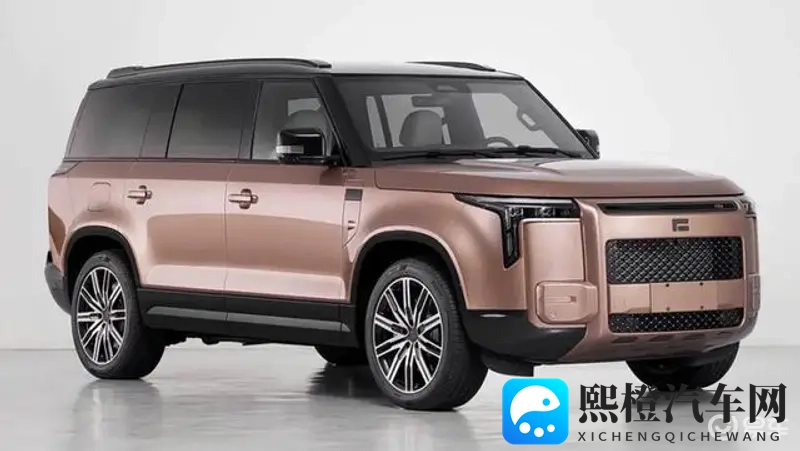 Polestones Adama首登国内舞台，增程SUV新成员-1