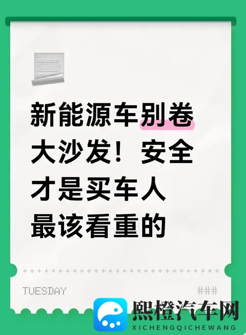 新能源车别卷大沙发！安全才是买车人最该看重的-1