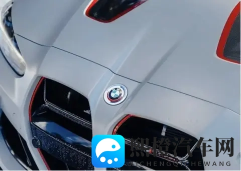 对话 BMW M 总裁:电动化时代,M 车型的初心从未改变!-3