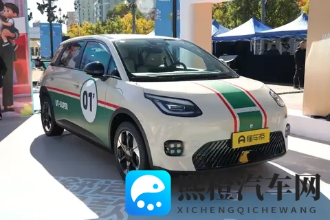 只要499万!京东“国民好车”上市-2